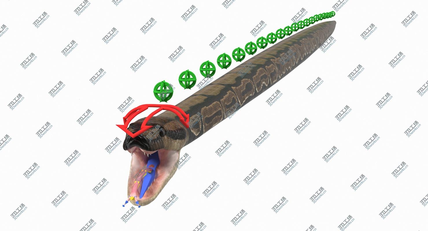 images/goods_img/202105073/3D Brown Python Snake Rigged 3D Model model/4.jpg